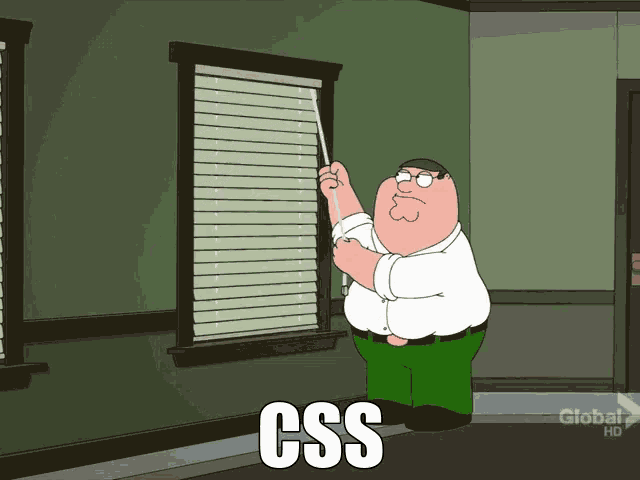 CSS Blinds Meme